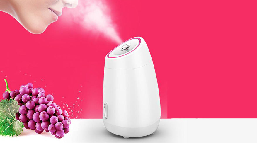 The Best 5 Professional at Home Facial Steamer 2020